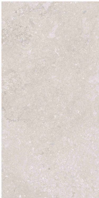 OL Port Land Stone Greige Matte 12 x 24